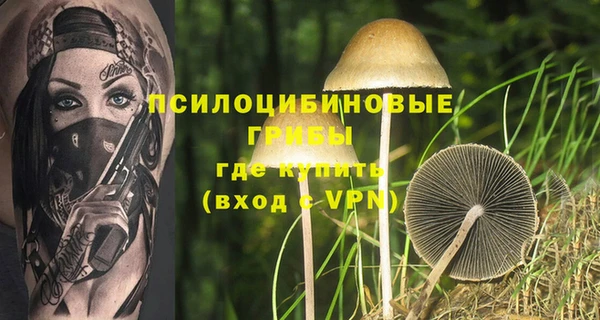 ECSTASY Волосово