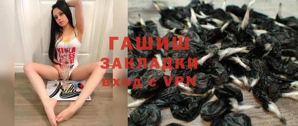 гидра Кемь