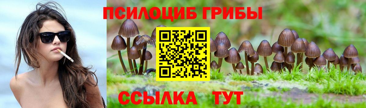 продажа наркотиков  Вход с VPN  Мариинск  Галлюциногенные грибы MAGIC MUSHROOMS 